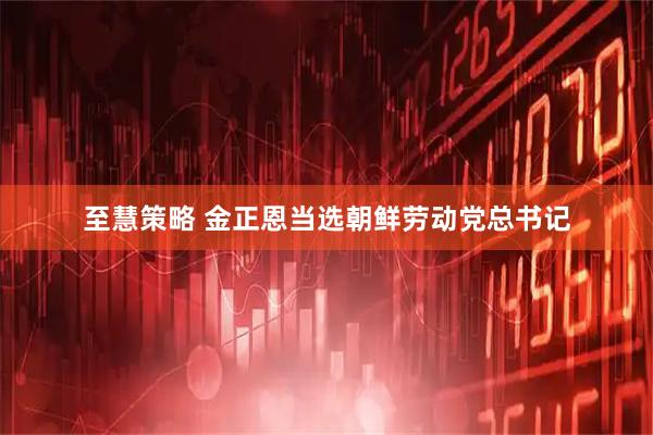 至慧策略 金正恩当选朝鲜劳动党总书记