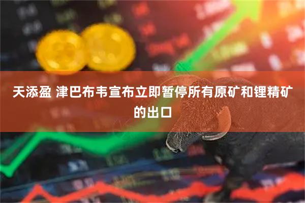 天添盈 津巴布韦宣布立即暂停所有原矿和锂精矿的出口