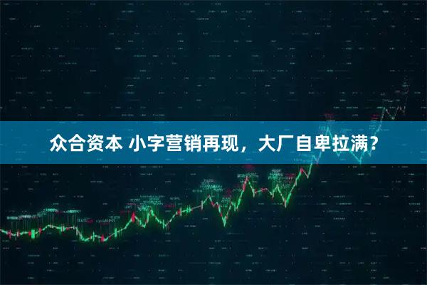 众合资本 小字营销再现，大厂自卑拉满？
