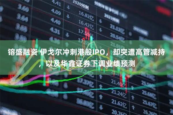 镕盛融资 伊戈尔冲刺港股IPO，却突遭高管减持，以及华鑫证券下调业绩预测