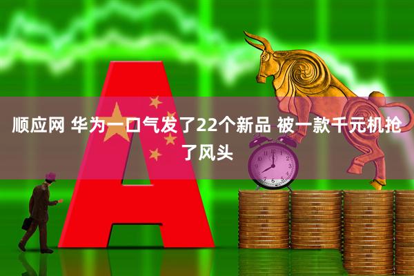 顺应网 华为一口气发了22个新品 被一款千元机抢了风头