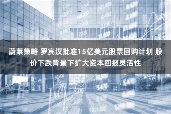 蔚莱策略 罗宾汉批准15亿美元股票回购计划 股价下跌背景下扩大资本回报灵活性