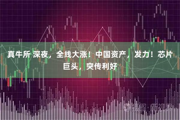 真牛所 深夜，全线大涨！中国资产，发力！芯片巨头，突传利好