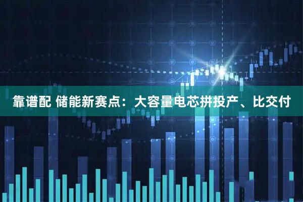 靠谱配 储能新赛点：大容量电芯拼投产、比交付