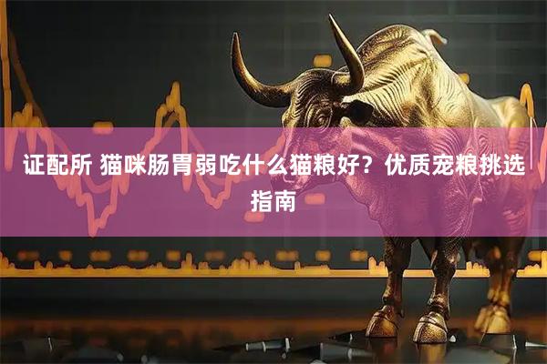 证配所 猫咪肠胃弱吃什么猫粮好？优质宠粮挑选指南