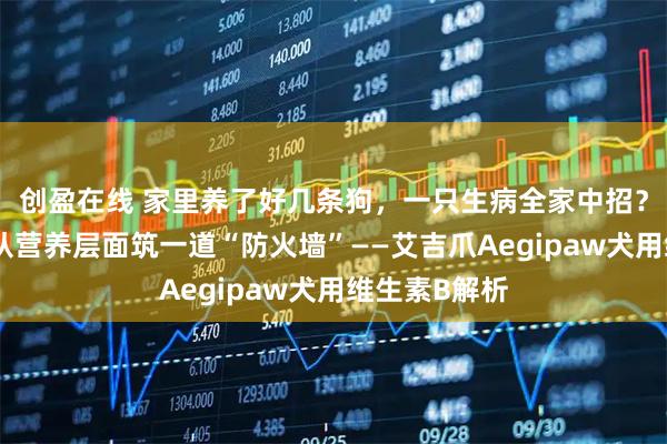 创盈在线 家里养了好几条狗，一只生病全家中招？有个办法能从营养层面筑一道“防火墙”——艾吉爪Aegipaw犬用维生素B解析