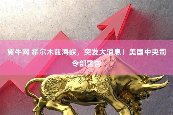 翼牛网 霍尔木兹海峡，突发大消息！美国中央司令部警告