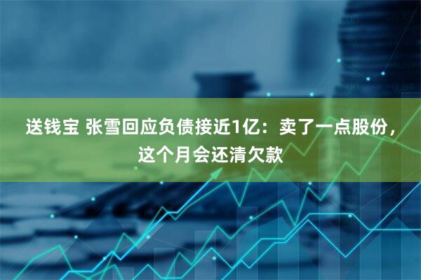 送钱宝 张雪回应负债接近1亿：卖了一点股份，这个月会还清欠款